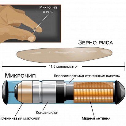 Схема чипа для животных